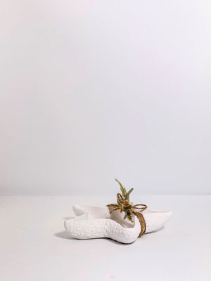 Schmuckschale Seestern Detailansicht